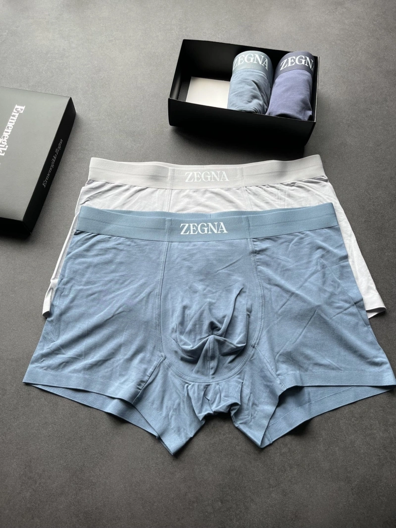 Fashionable Zegna Underwear 276180