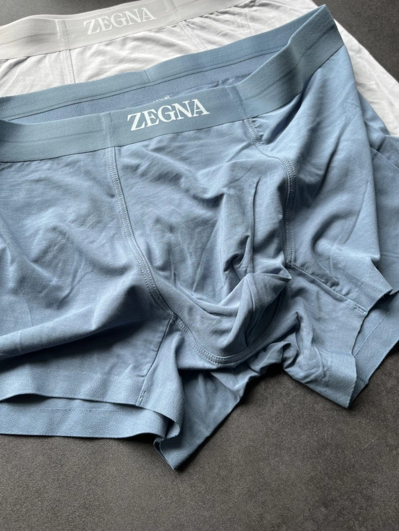 Fashionable Zegna Underwear 276180