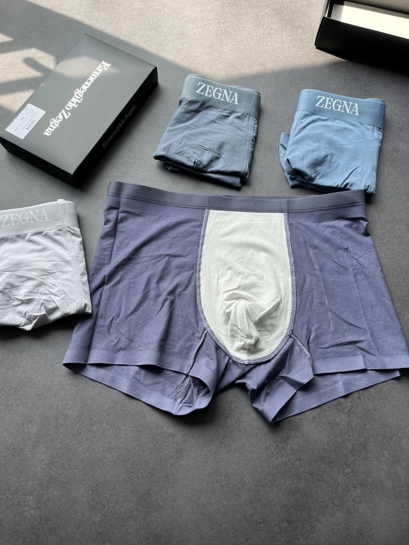 Fashionable Zegna Underwear 276180
