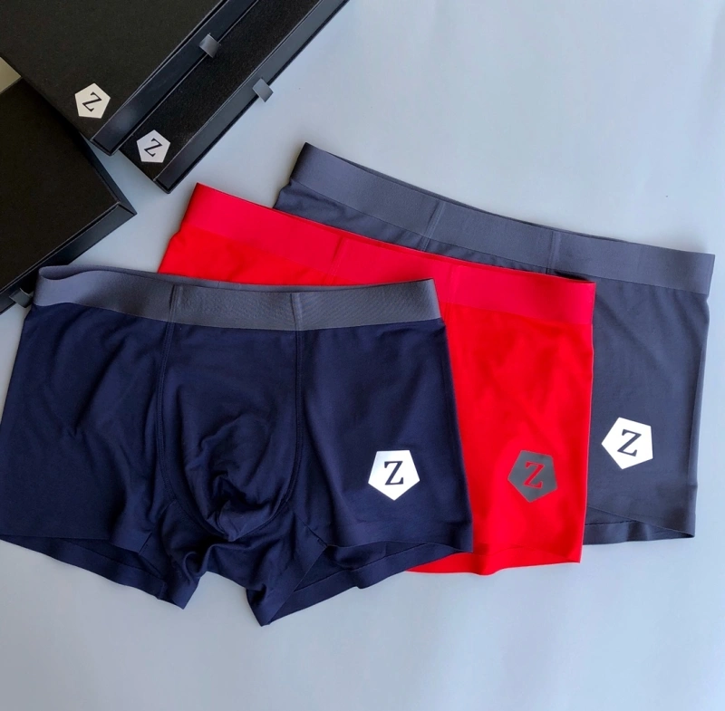 ZipUp Zegna Underwear 276178