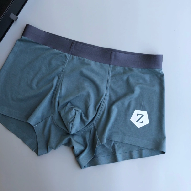 ZipUp Zegna Underwear 276178